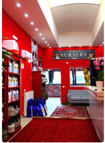 Salon und Welpen-Nursery Pet & Wellness in Faloppio